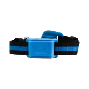 Smart Collar Система керування тваринництвом